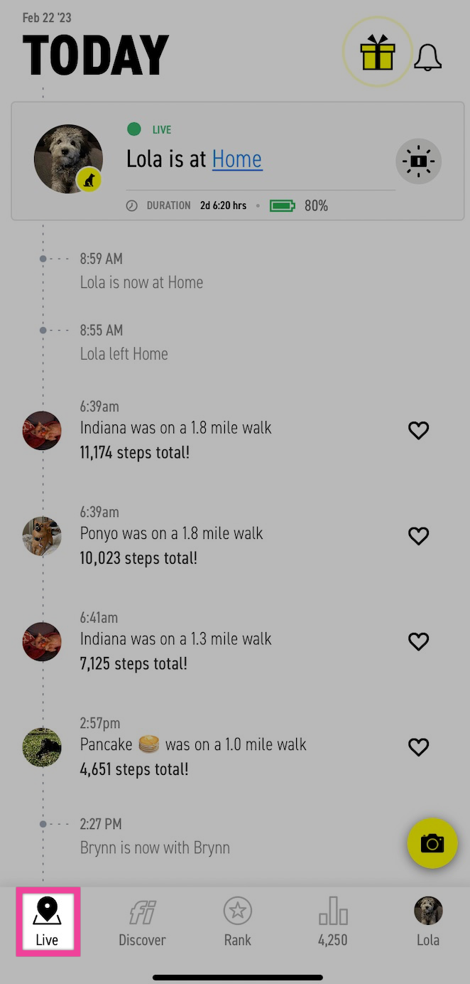 LiveTab.jpg