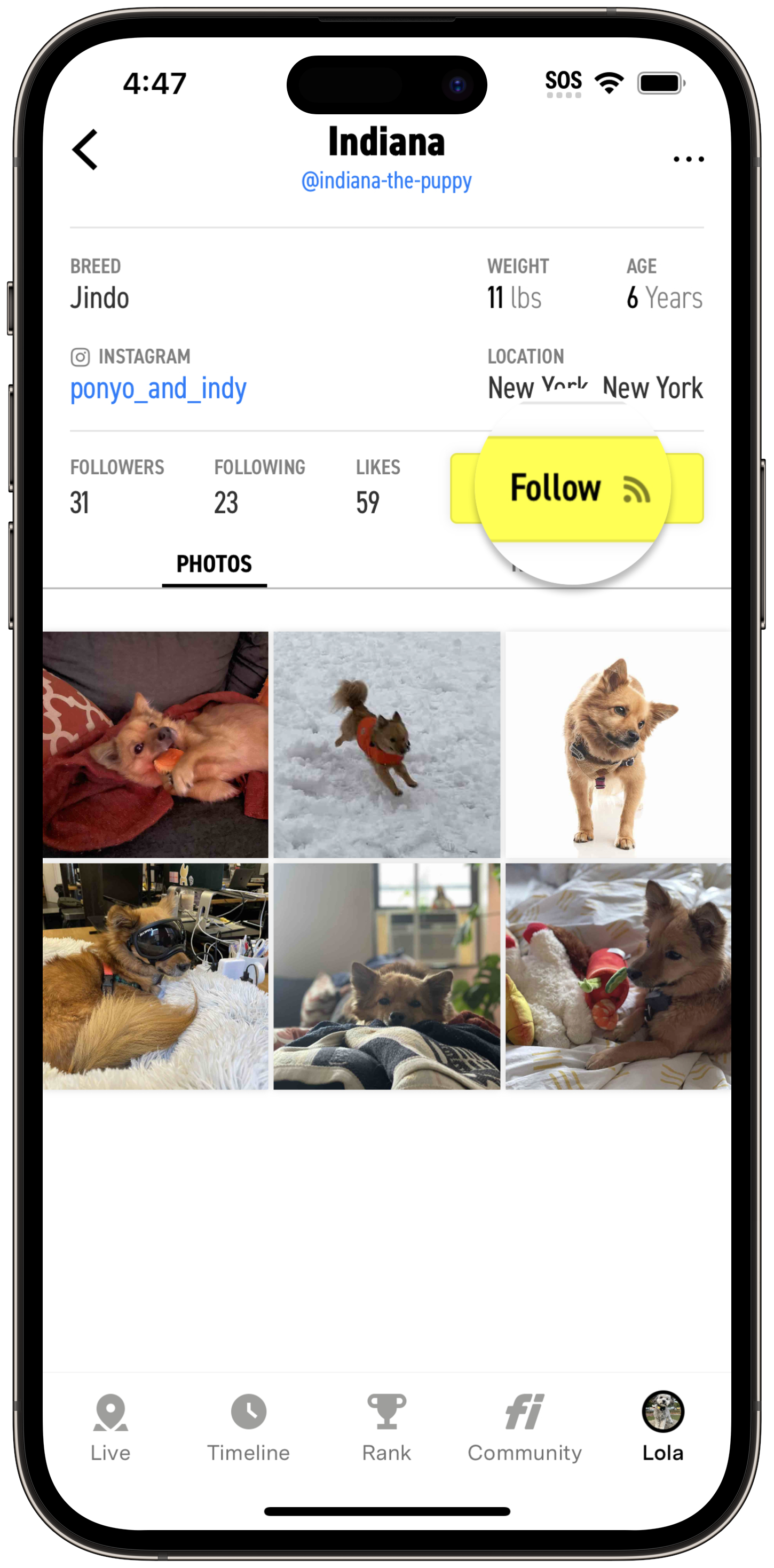 Follow.png