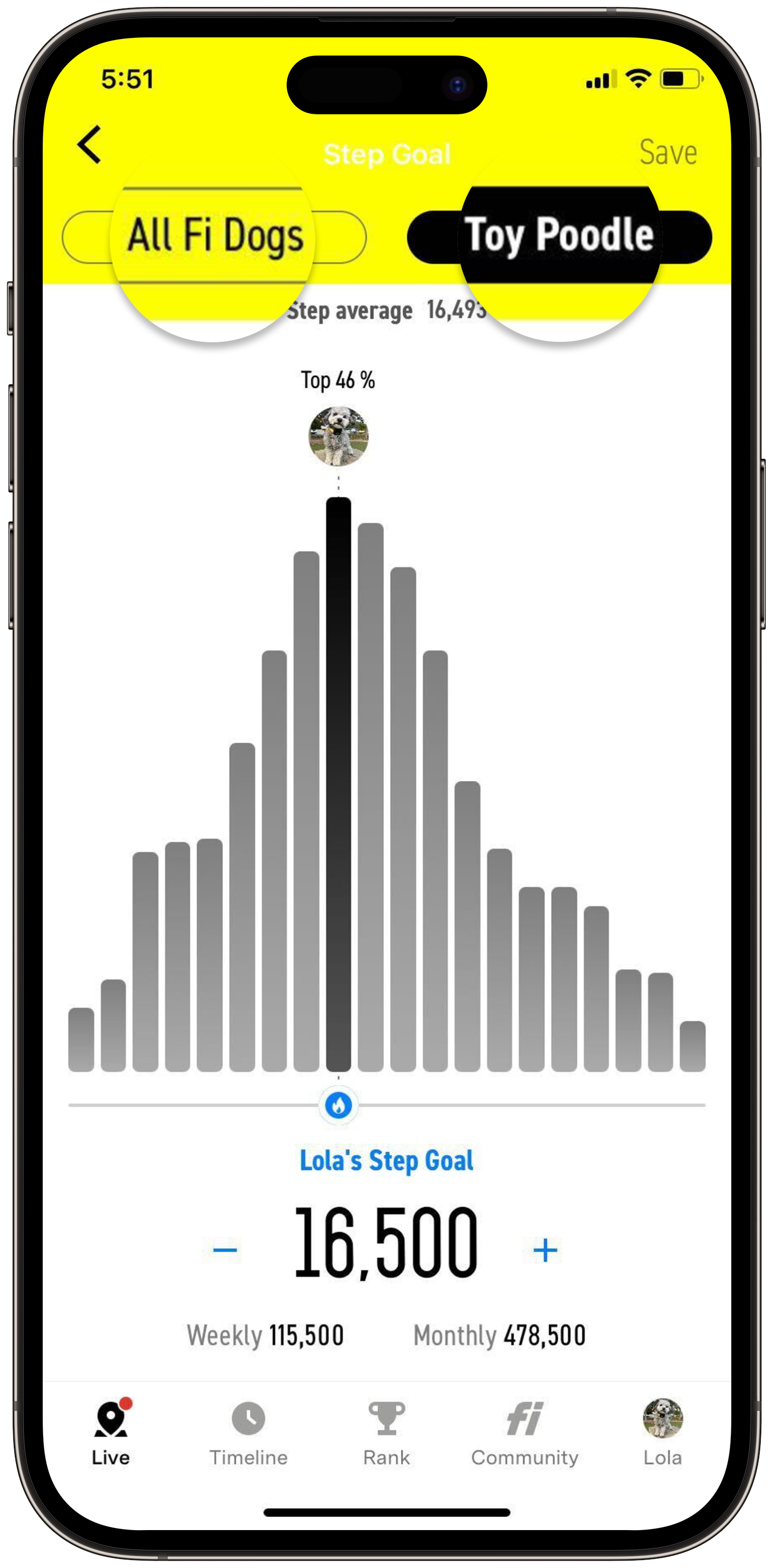 How Can I Track My Dog's Steps & Activity? Help Center
