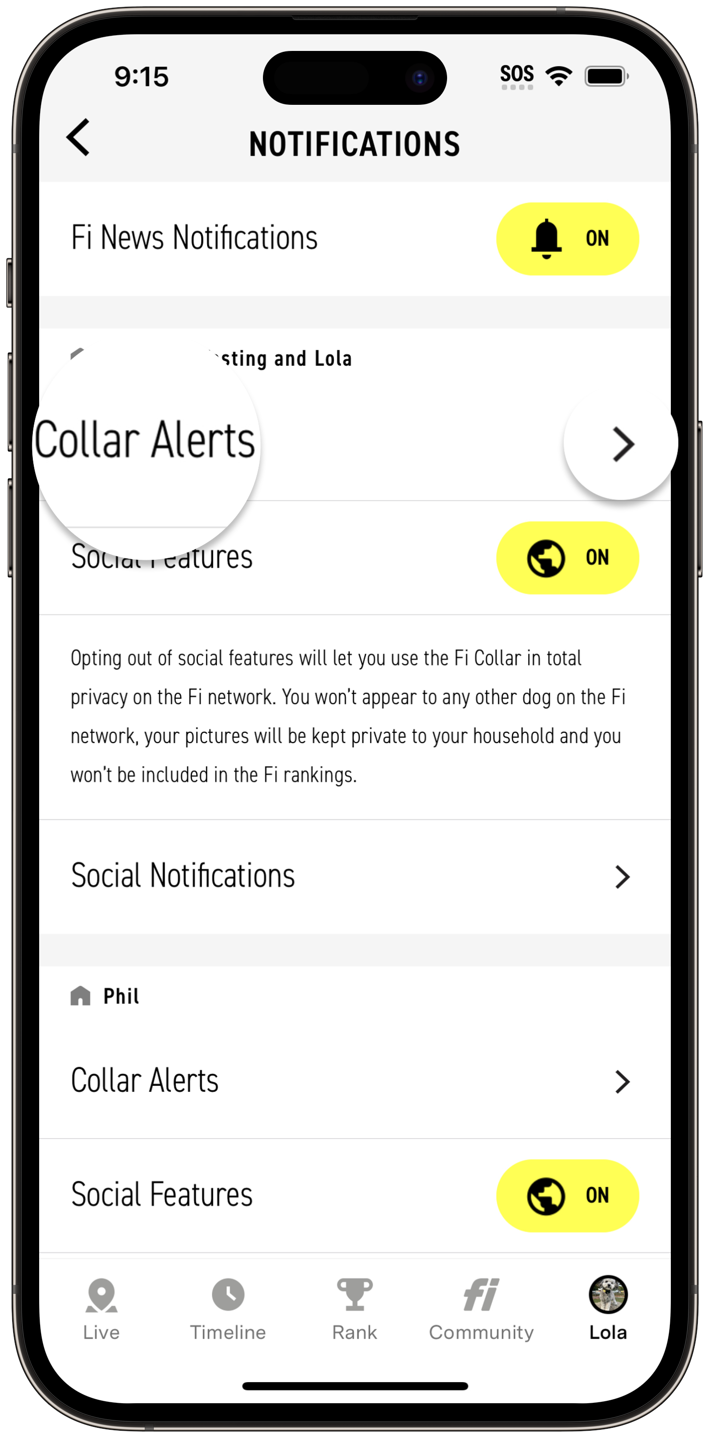 CollarAlerts.png