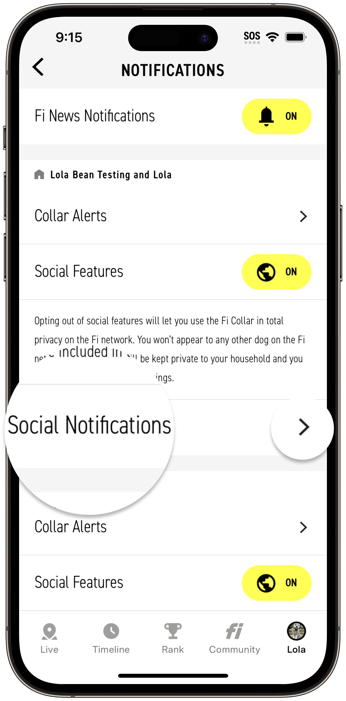 SocialNotifications.png