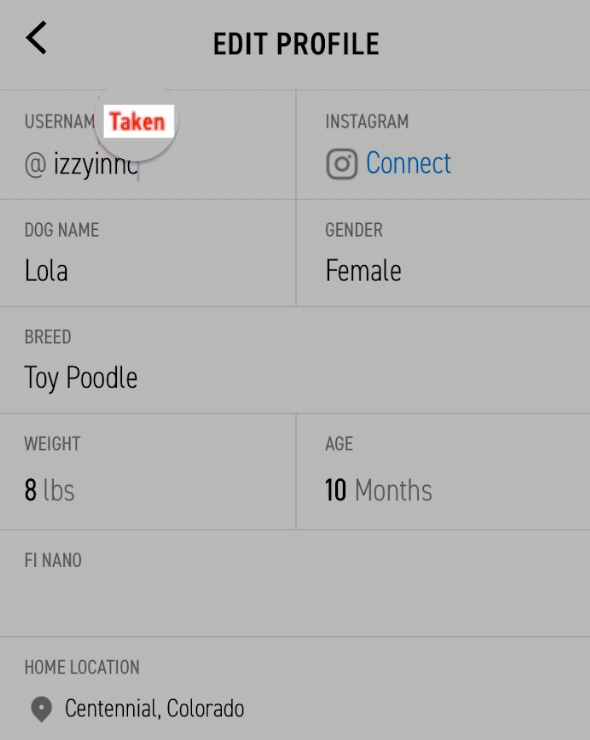 Username_1.png