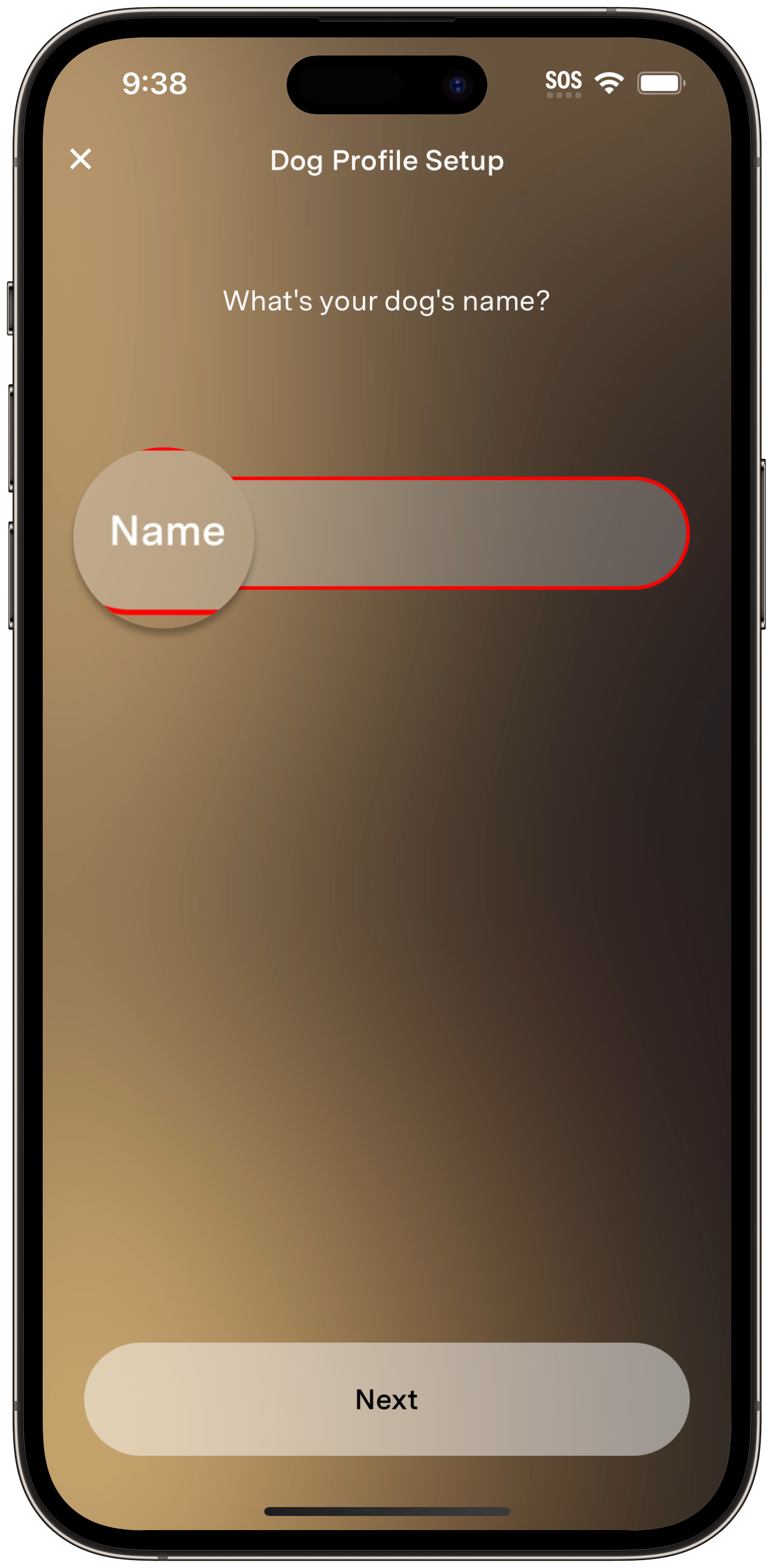 Name