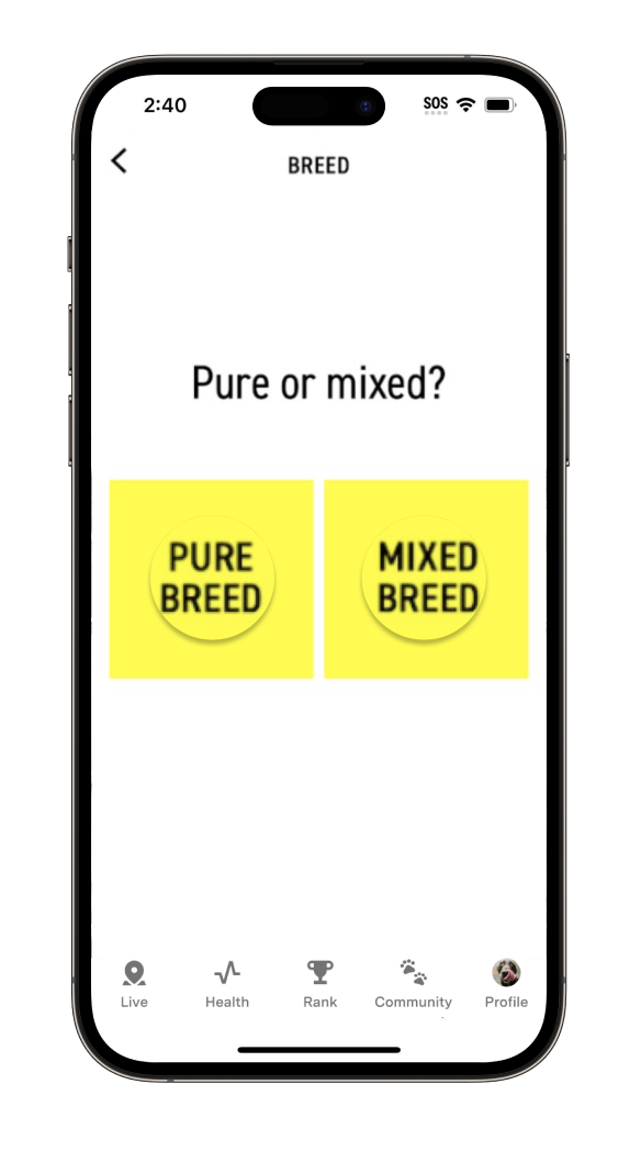 barcode copy.png
