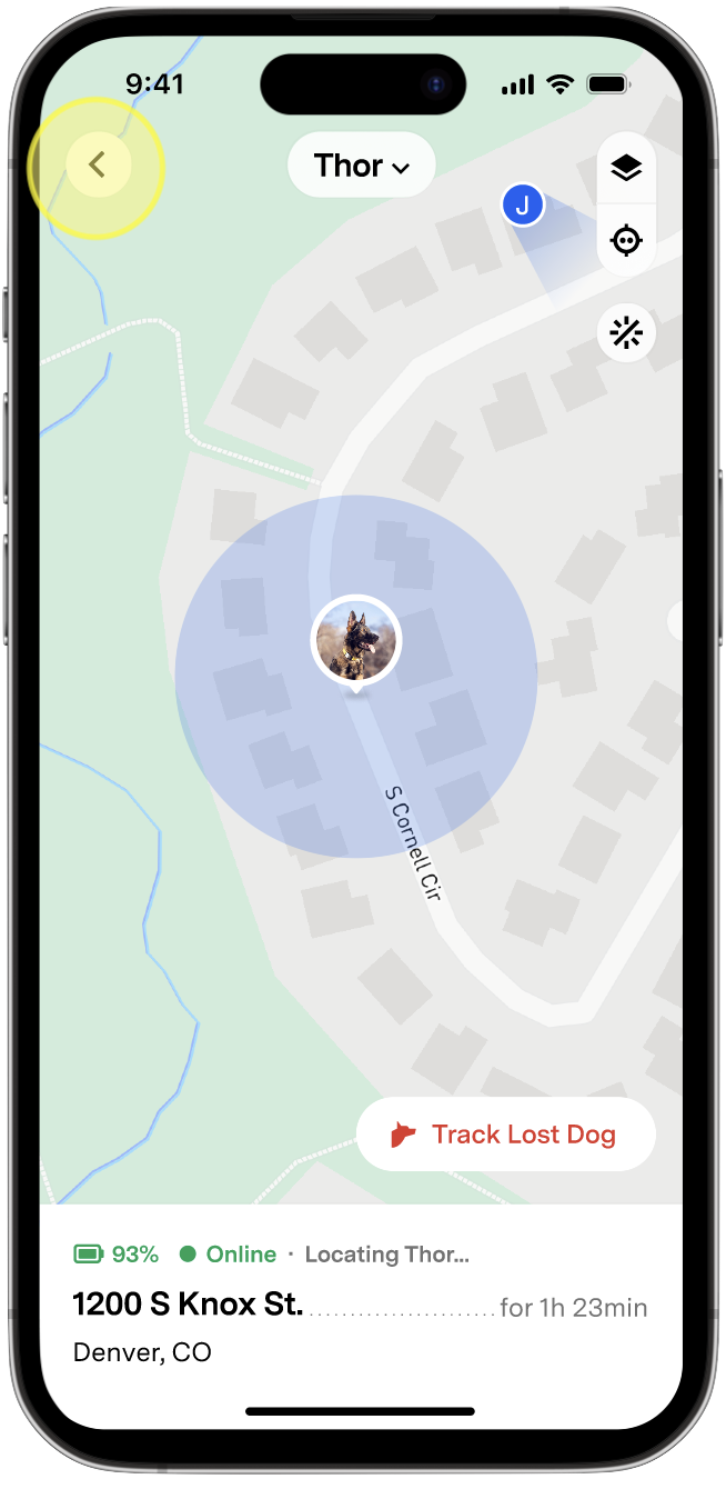 LiveMapBack.png