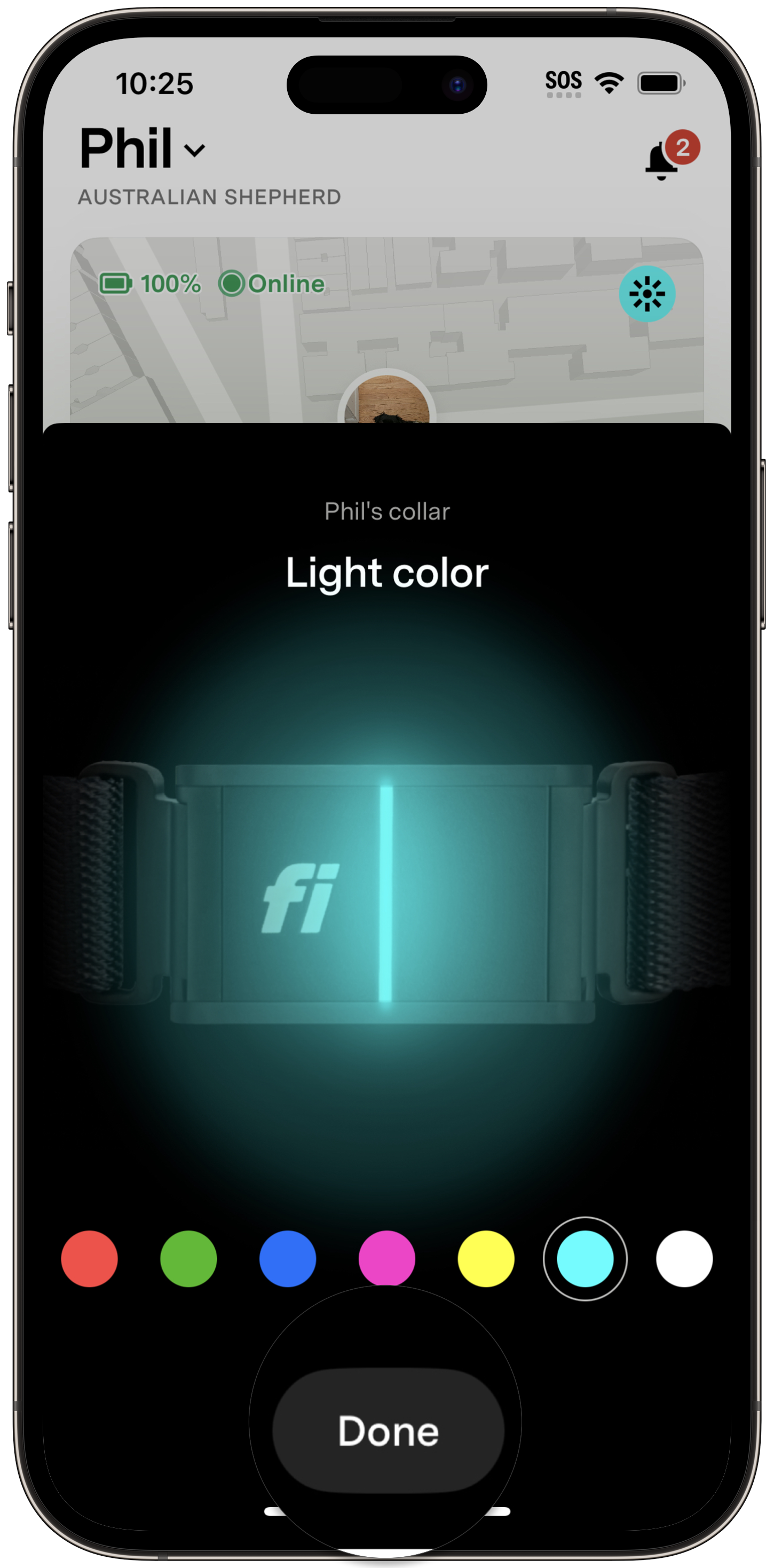 Light2.png