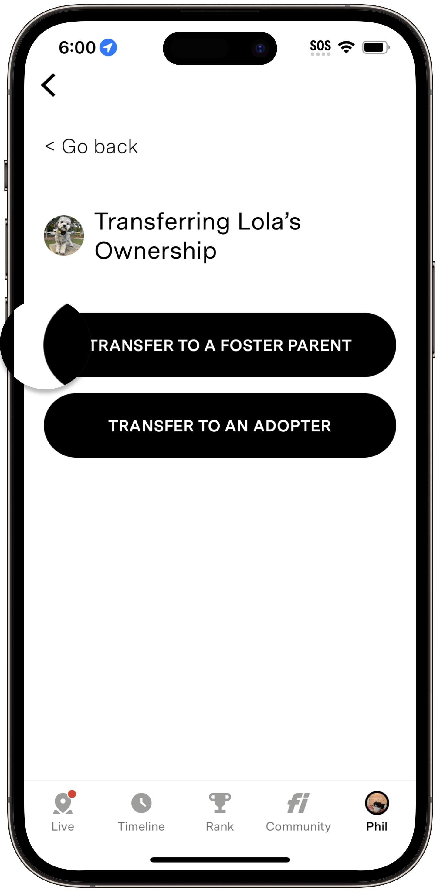 TransferFP.png