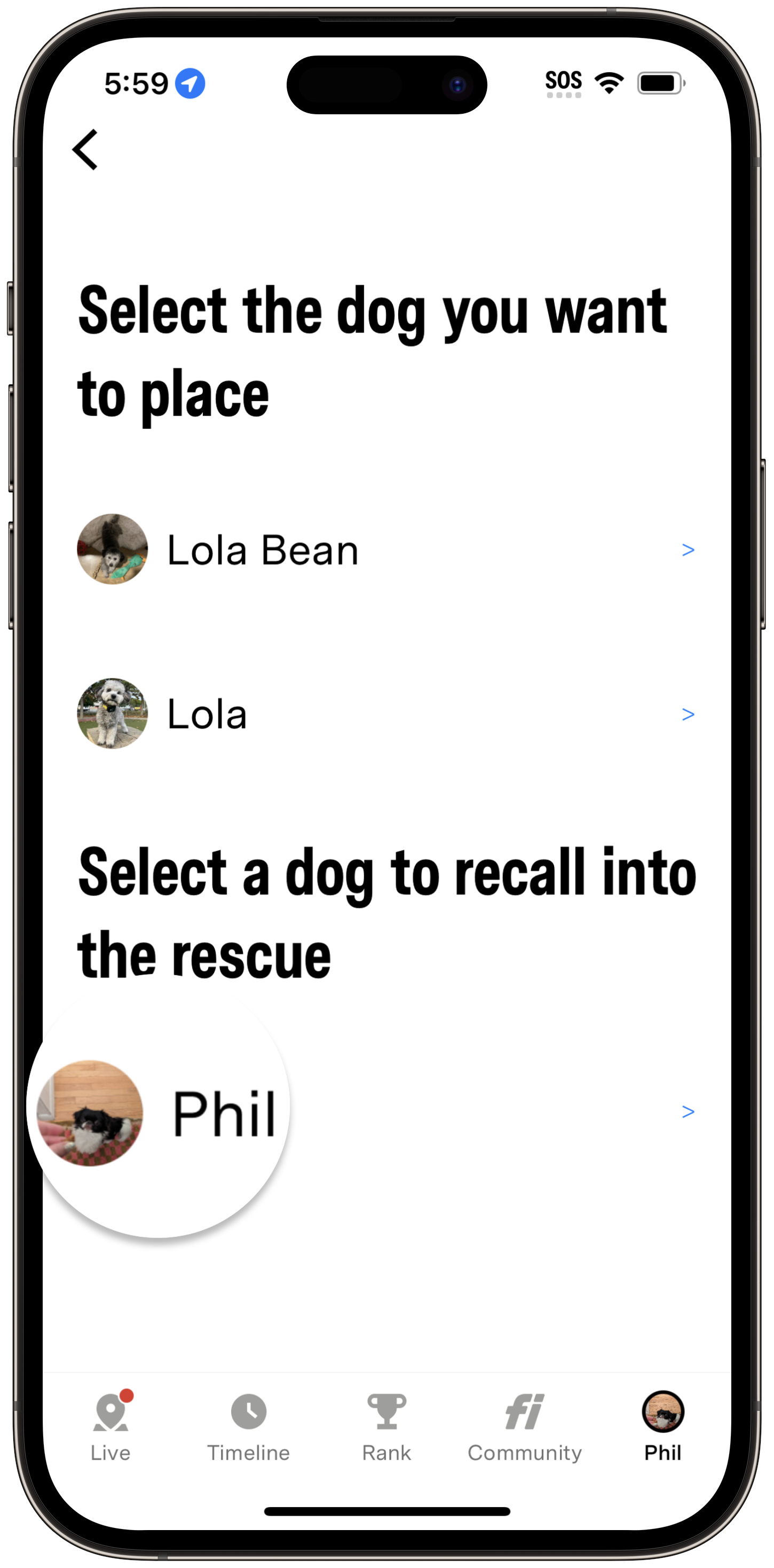 Recall.png