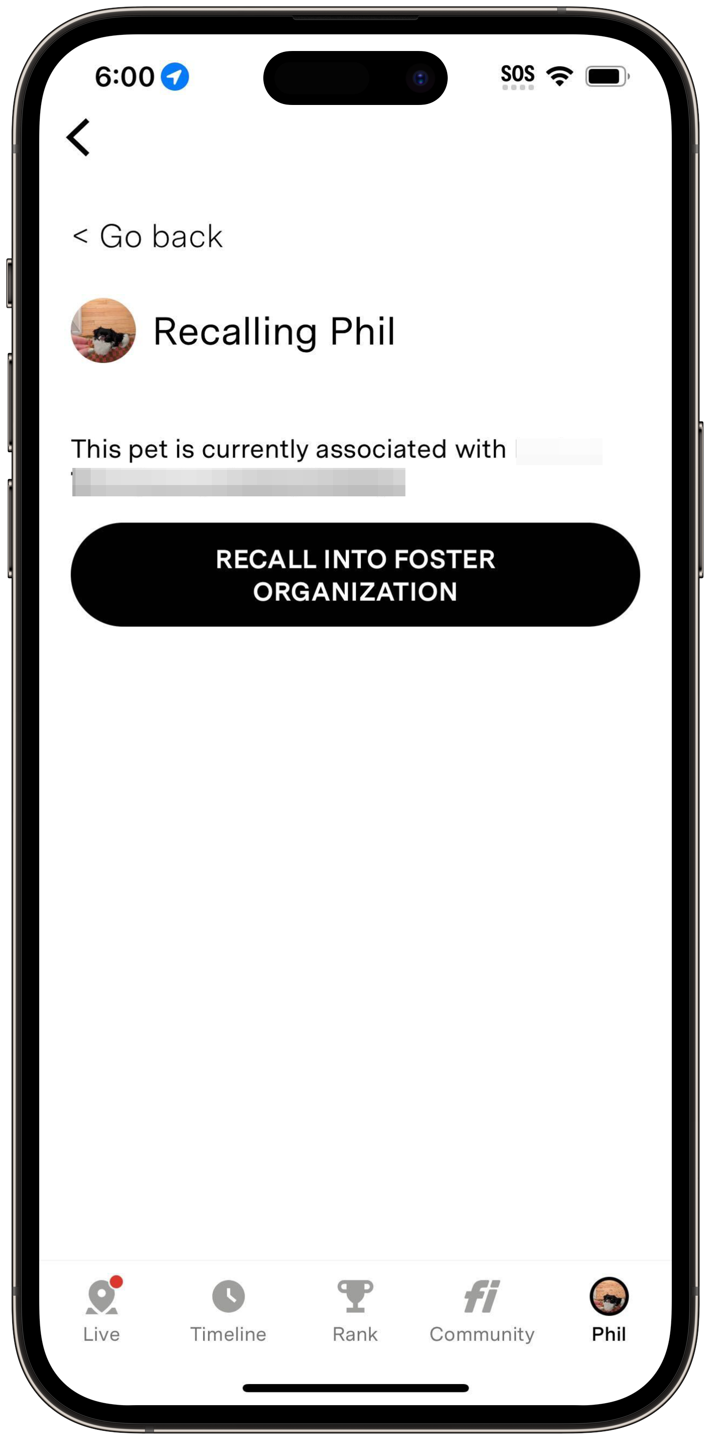 Organization Recall.png