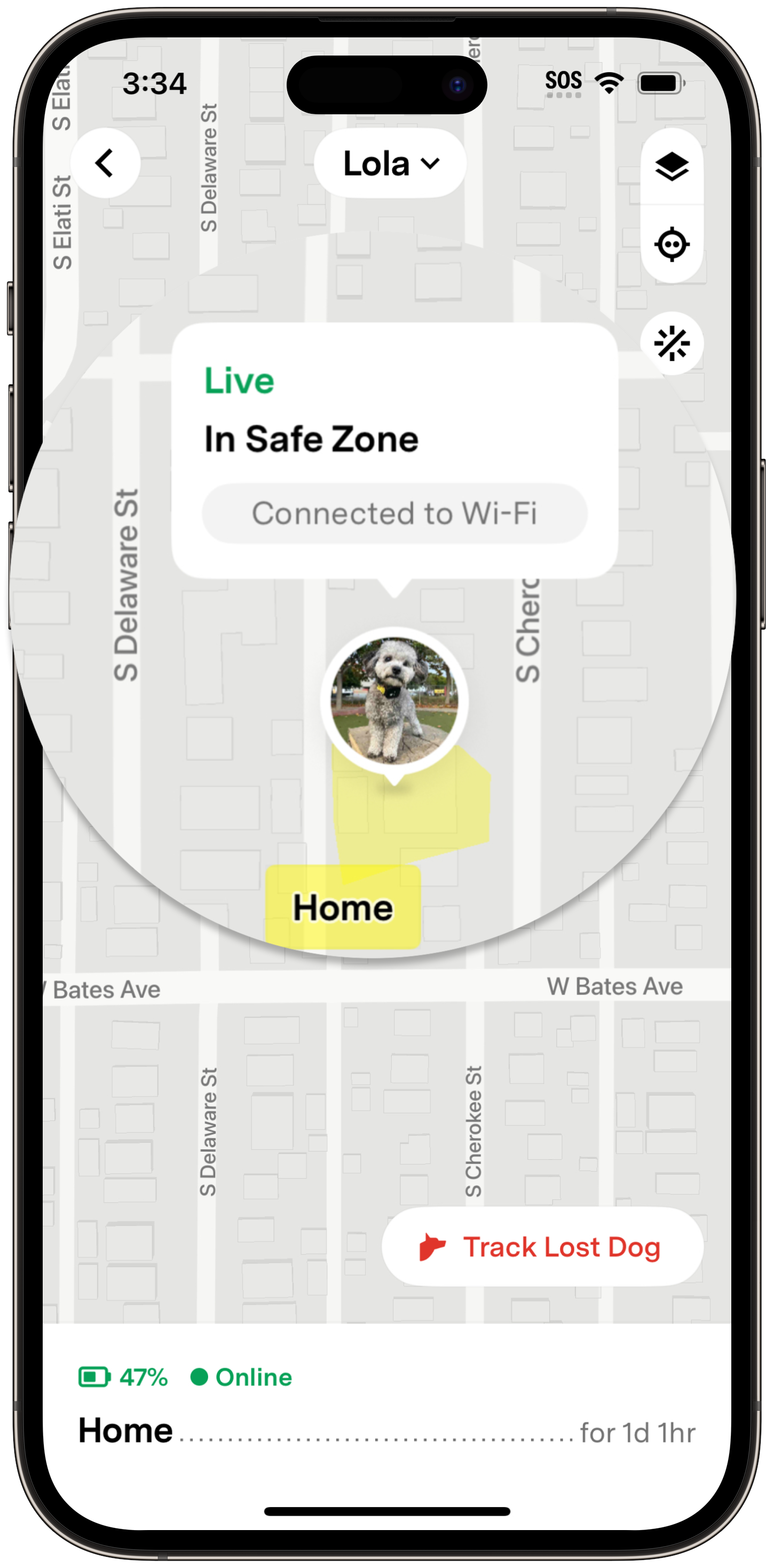 insafezone.png