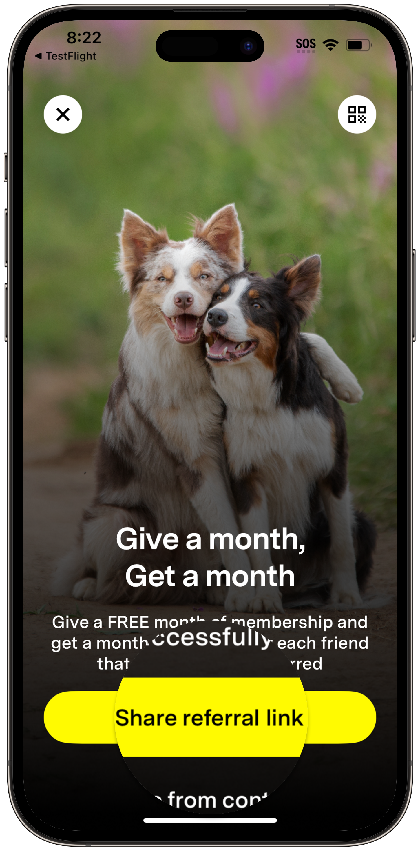 Share Referral link.png