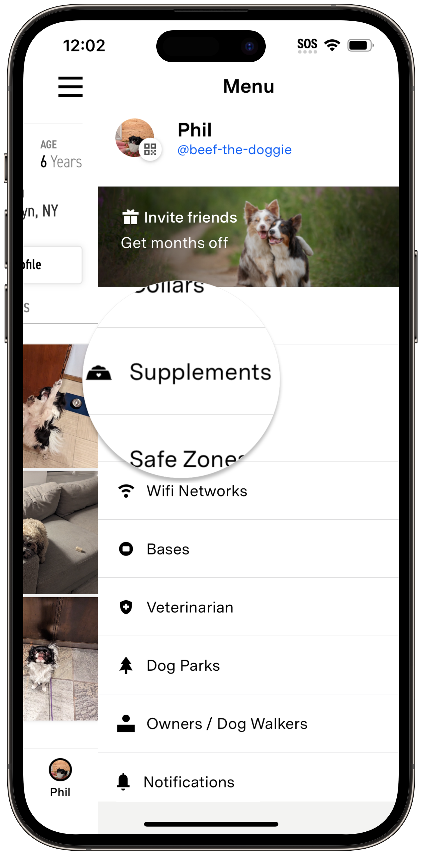 Phil Menu iPhone Supplements.png