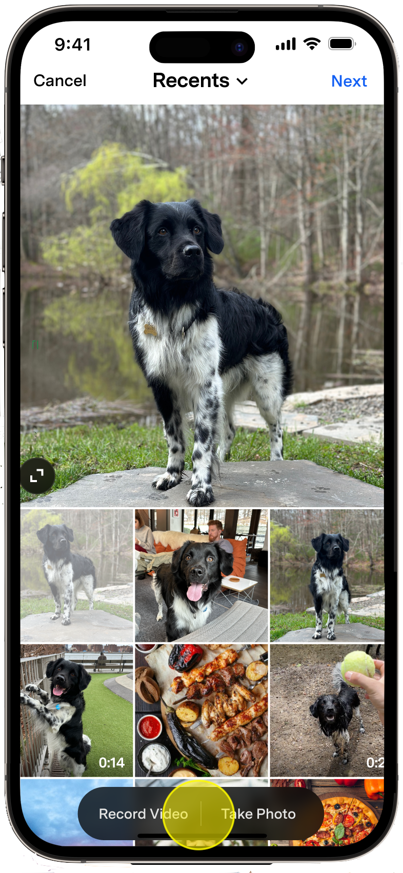 IMG_0571-portrait.png