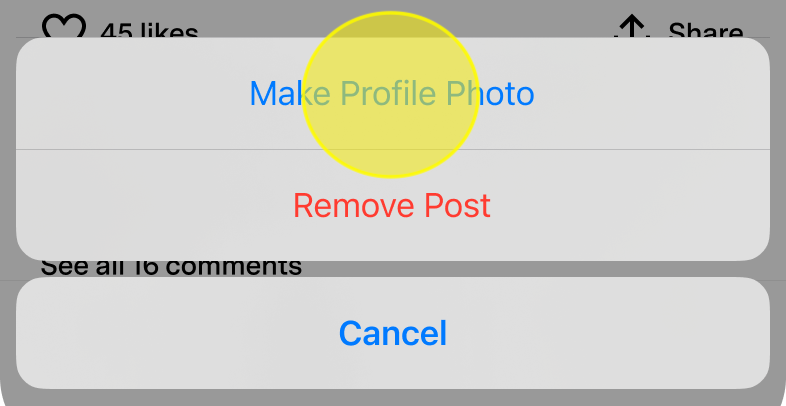 ProfilePictureRemovePicture.png