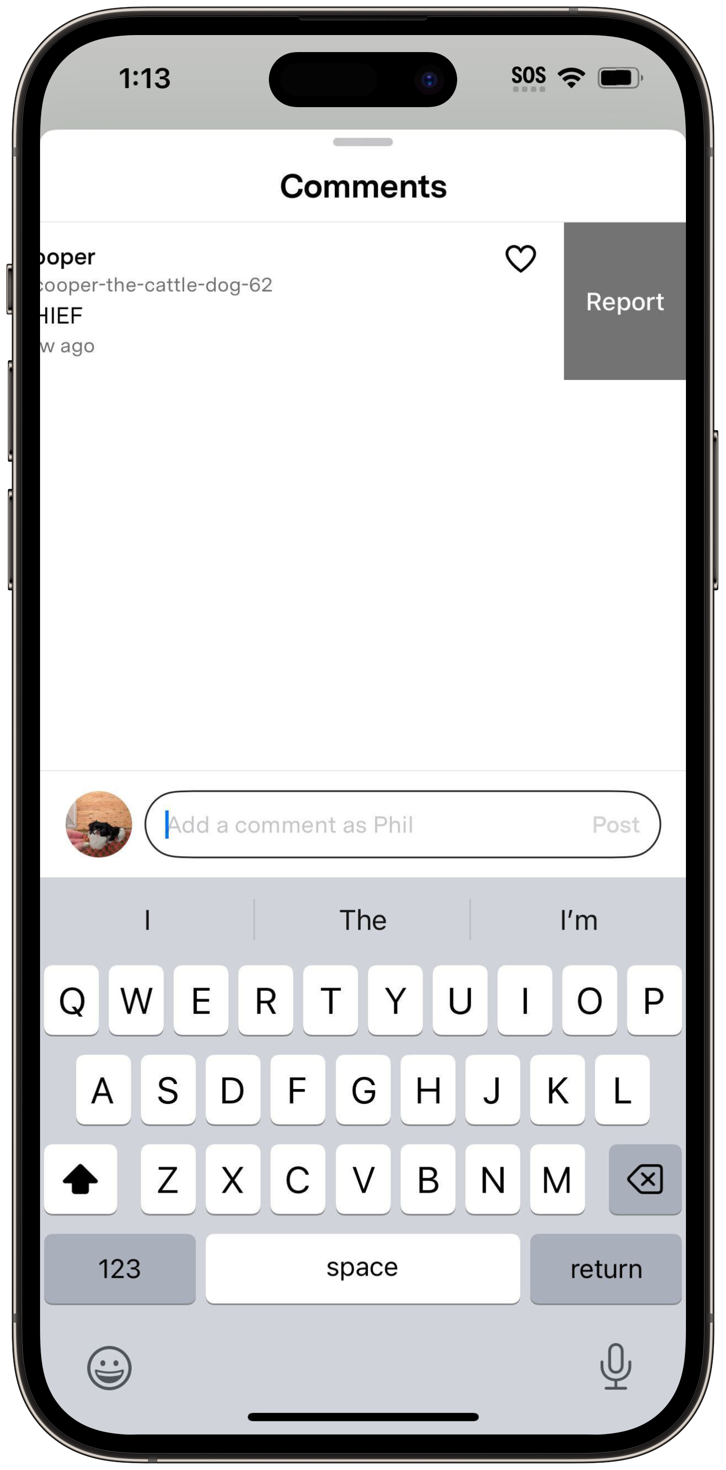Fi app Community Comments screen with the comment input field active and keyboard open