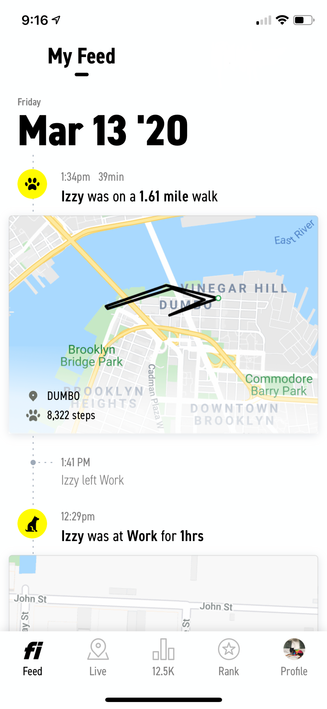 Activity Tracking Walks Fi Help Center