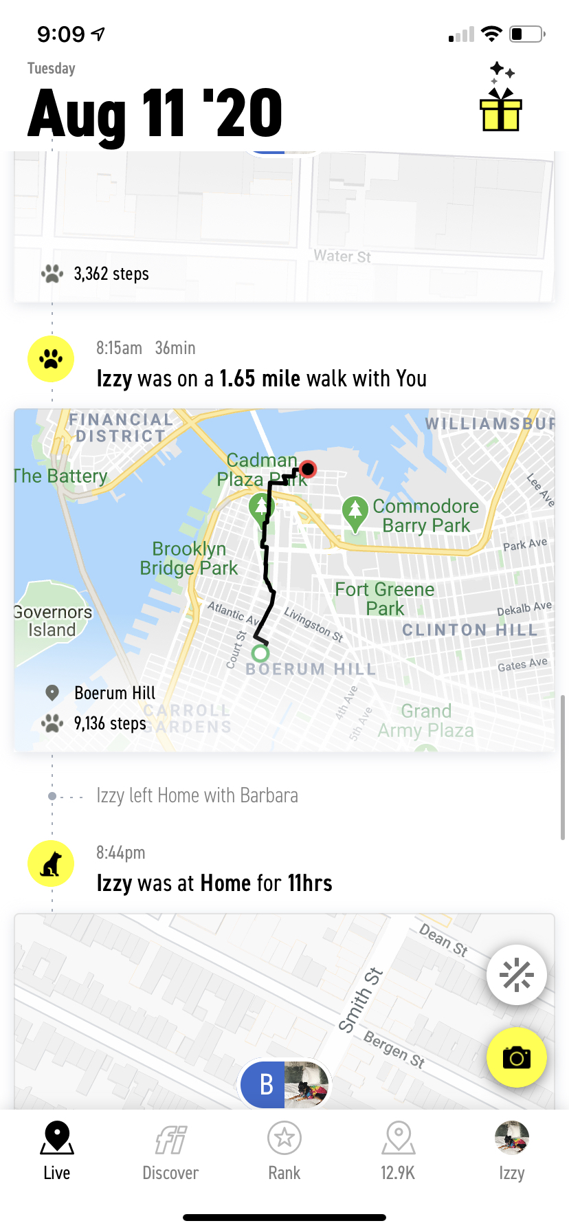 Activity Tracking: Walks – Help Center