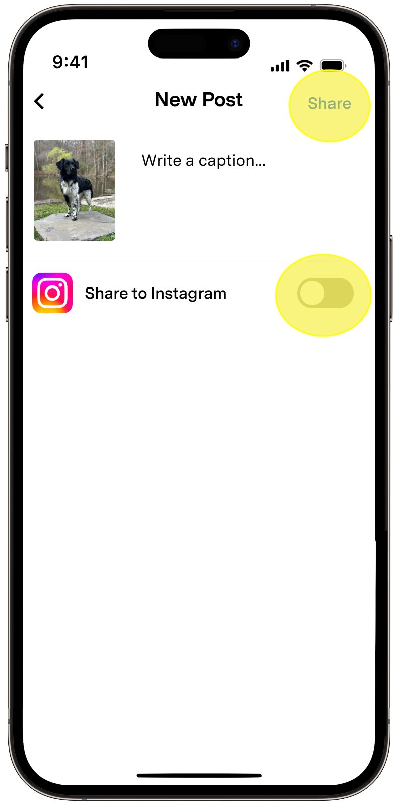 Share.png