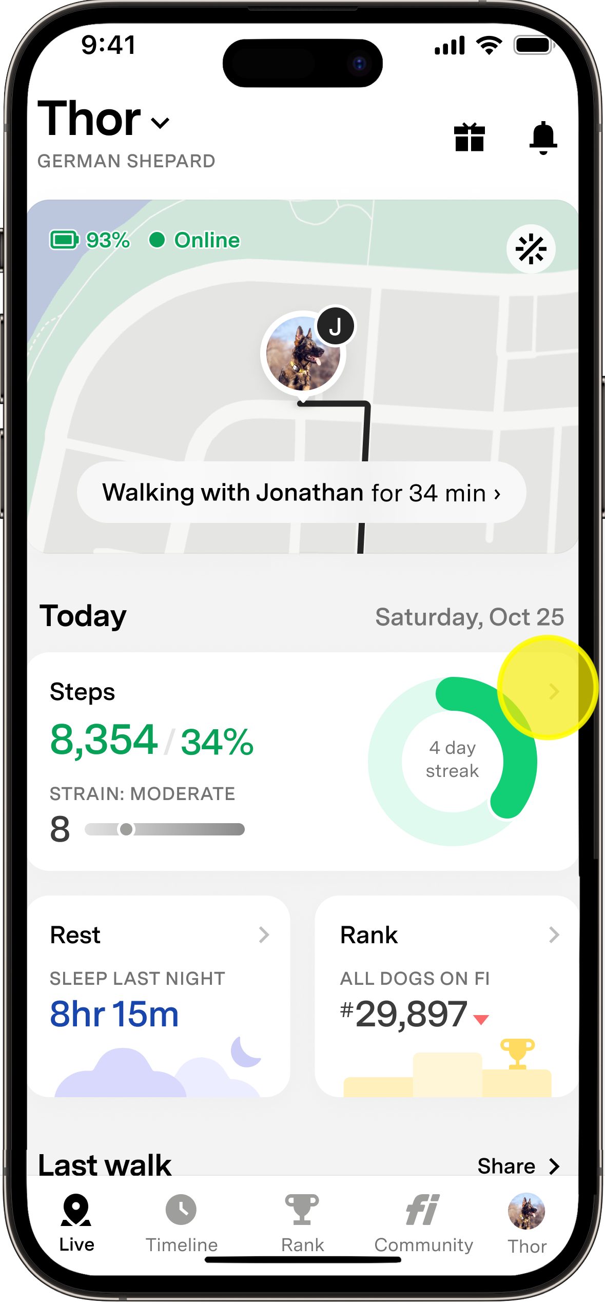 Activity Widget.png