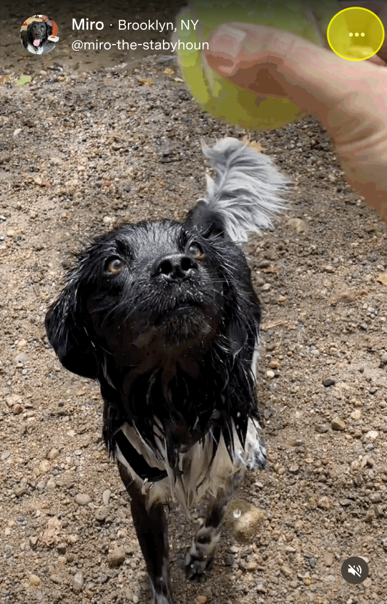 Video three dots.png