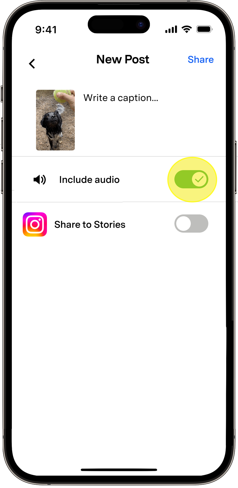 Video Audio.png