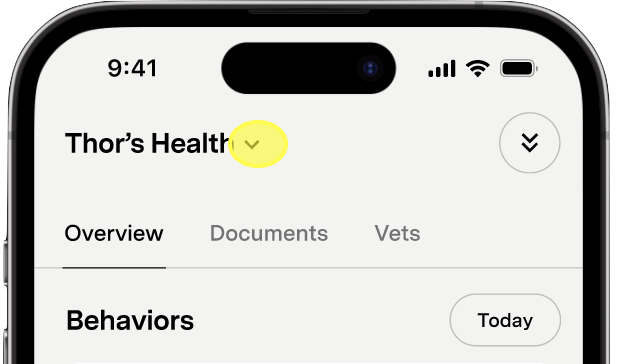 Health Tab without AI copy.png