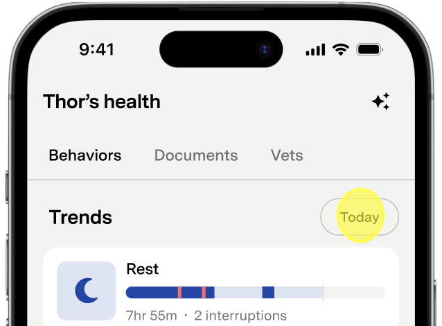 Health Tab tap today.png