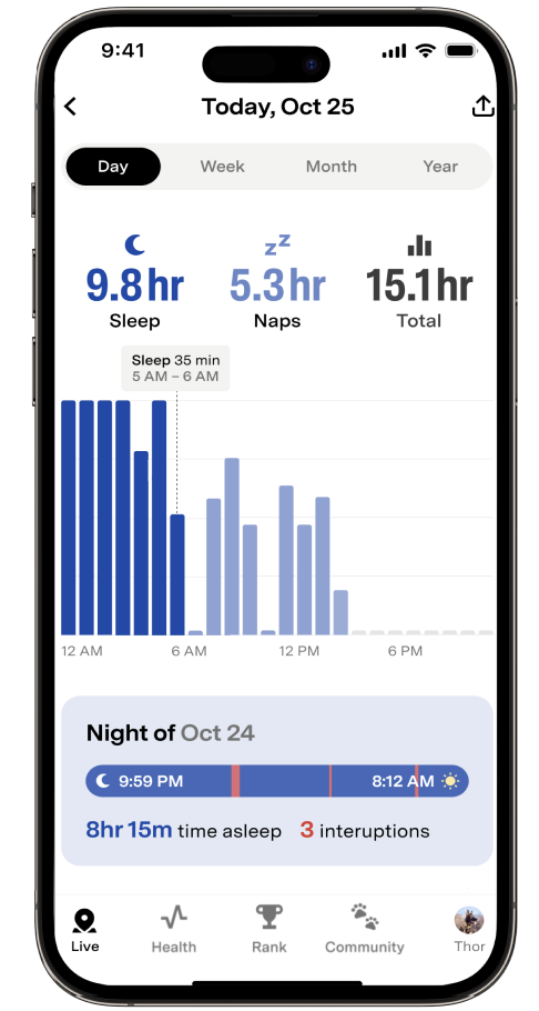 Sleep Summary.png