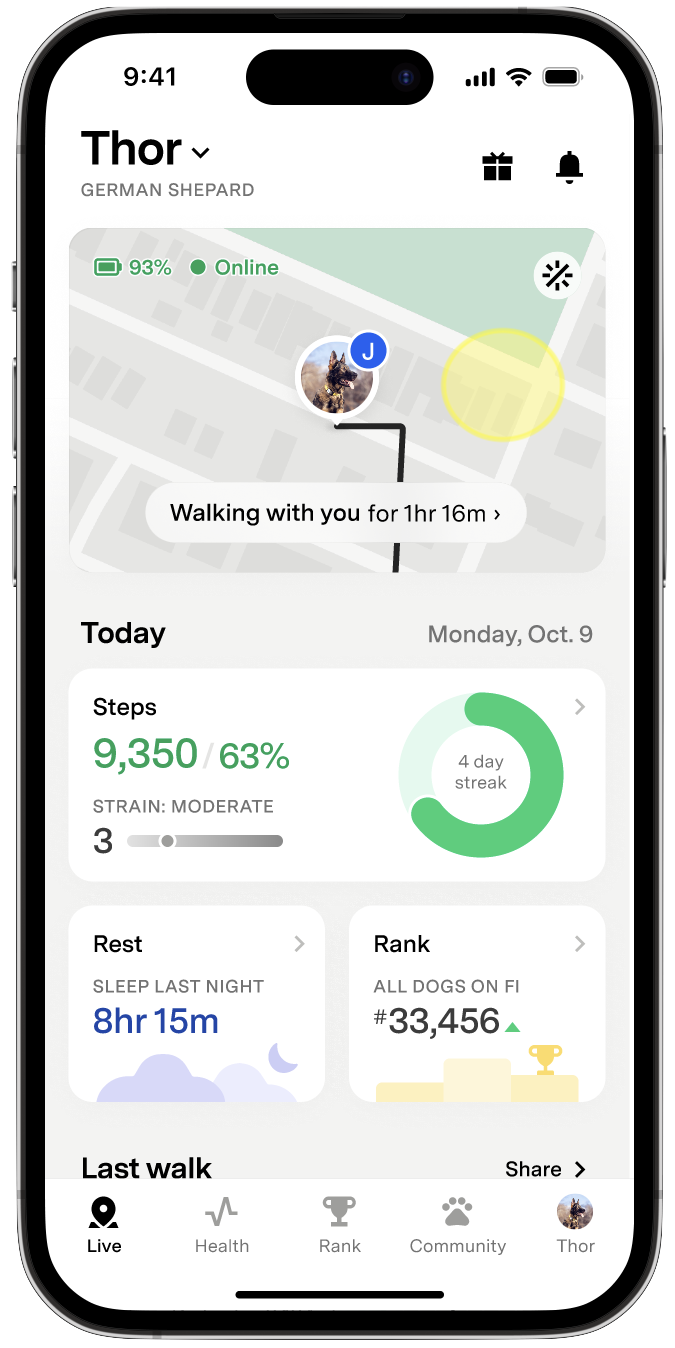 LiveCard