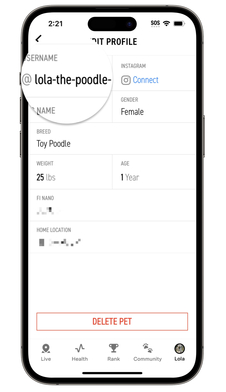 Username highlighted.png