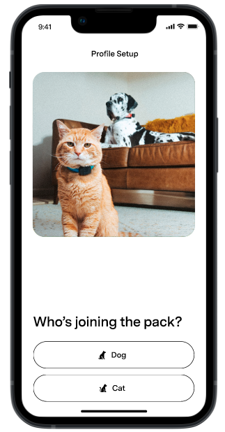 Dog or cat profile set up.png