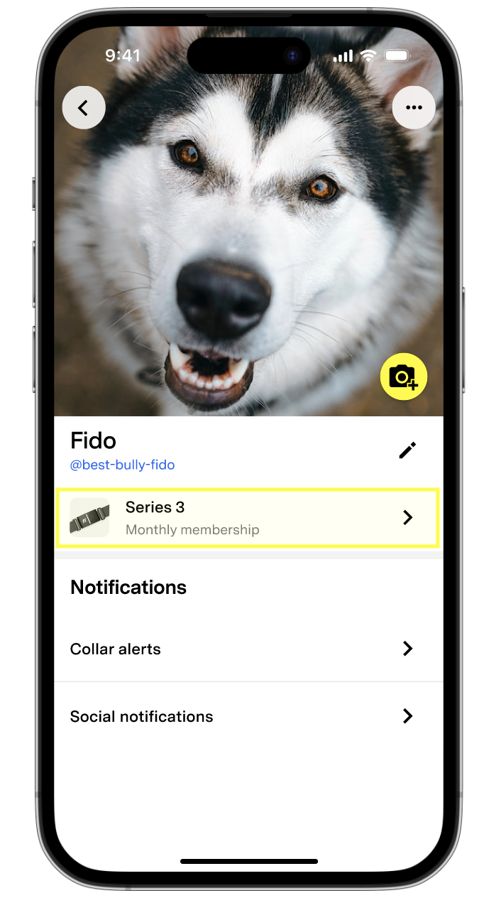 Collar series highlighted on dog profile.png