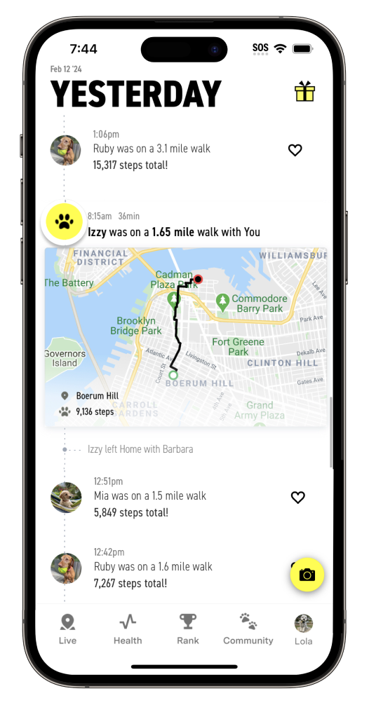 Walk Activity Card in the Fi App showing date, time, owner, neighbourhood, steps, duration, and distance