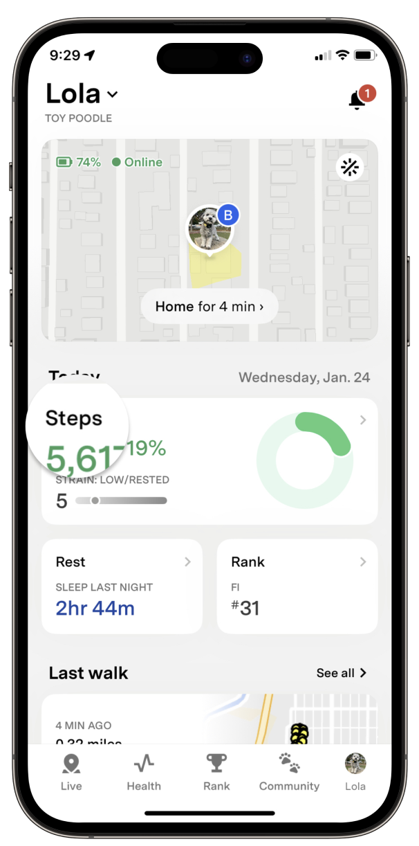 Fi App Live Tab with the Steps card highlighted, showing step count and goal progress ring
