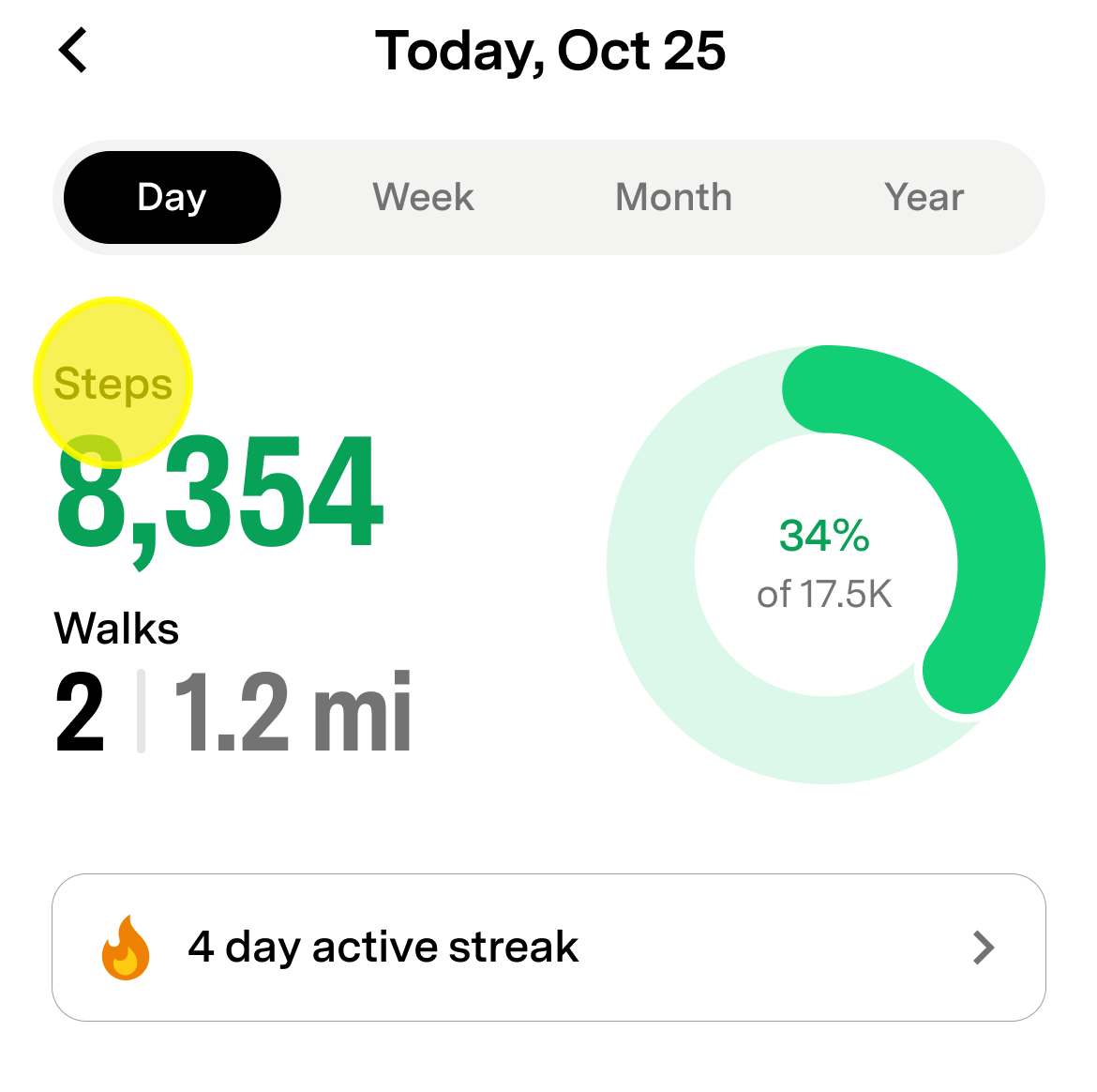 Activity Summary card showing the pet's step count for the selected time period
