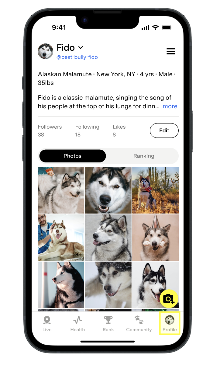 Fi App home screen with pet avatar highlighted in the lower right corner.