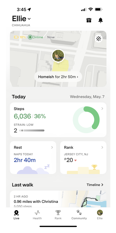 Fi app Live tab showing your pet's location, today's steps, strain score, nap time, local rank, and last walk summary
