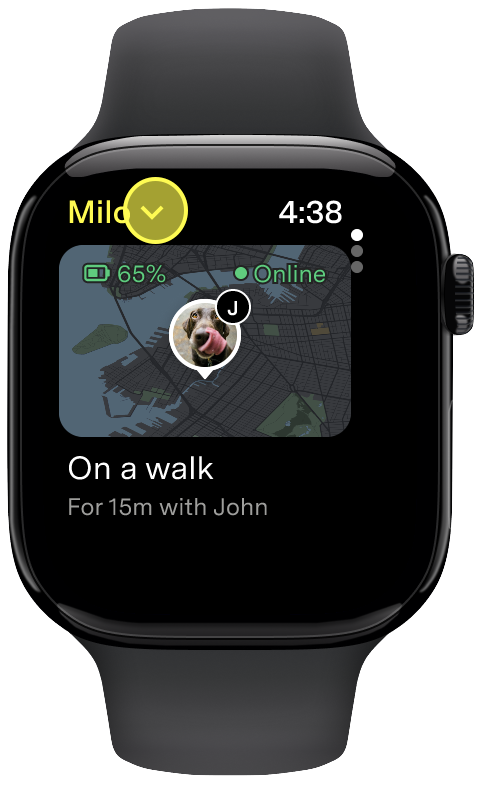 Pet profile selector with the arrow next to the pet's name highlighted on Apple Watch