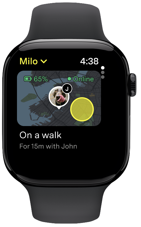 Pet location shown on the Apple Watch home screen map view