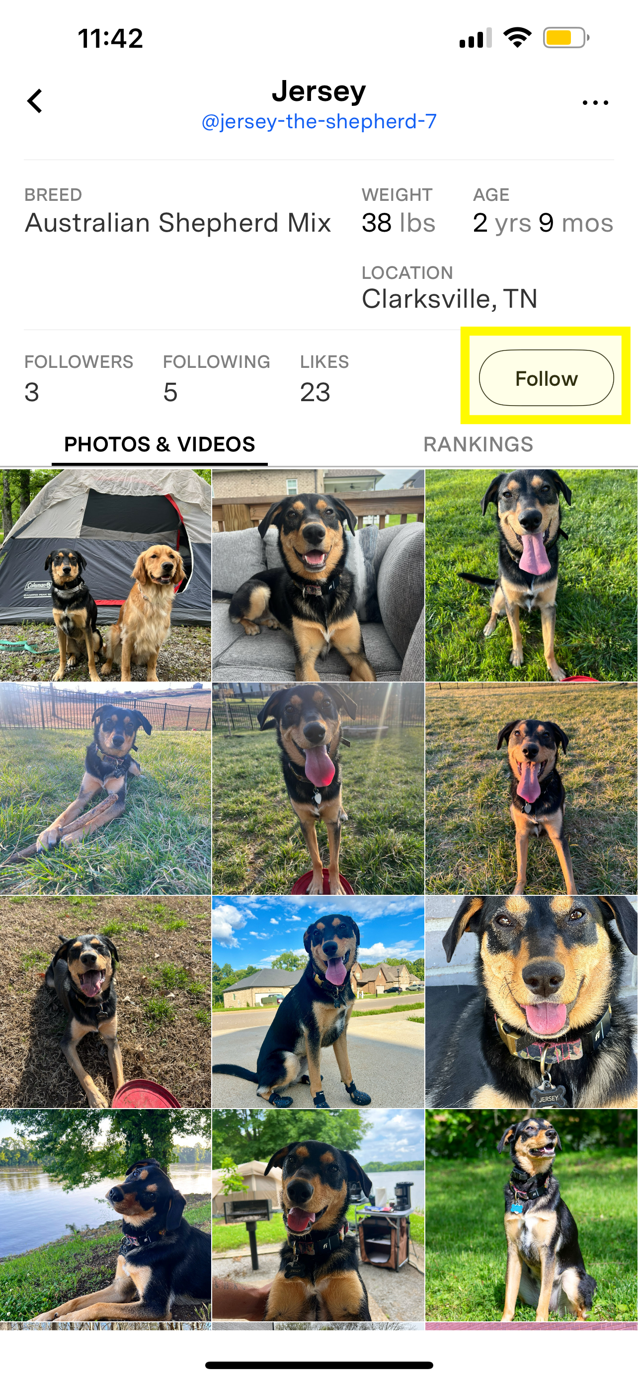 Follow on profile page