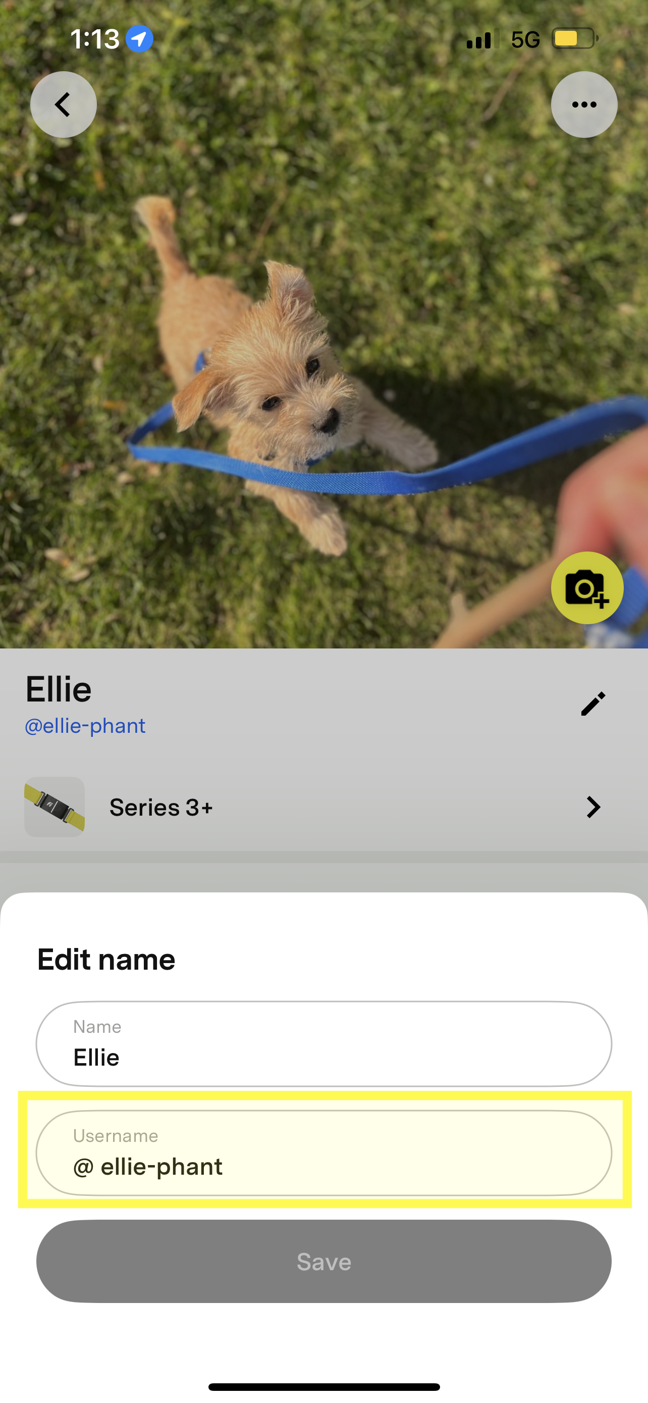 Username highlighted.png