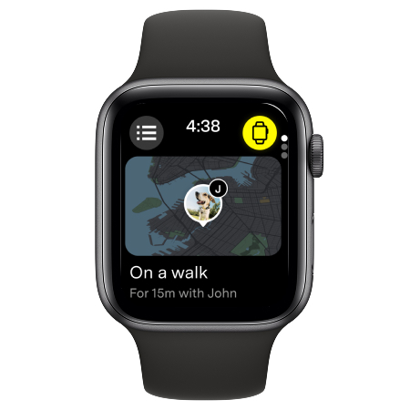 LTE Watch Mode Icon