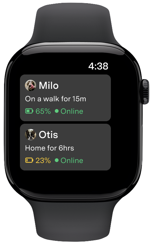 Primera pantalla Watch.png Apple