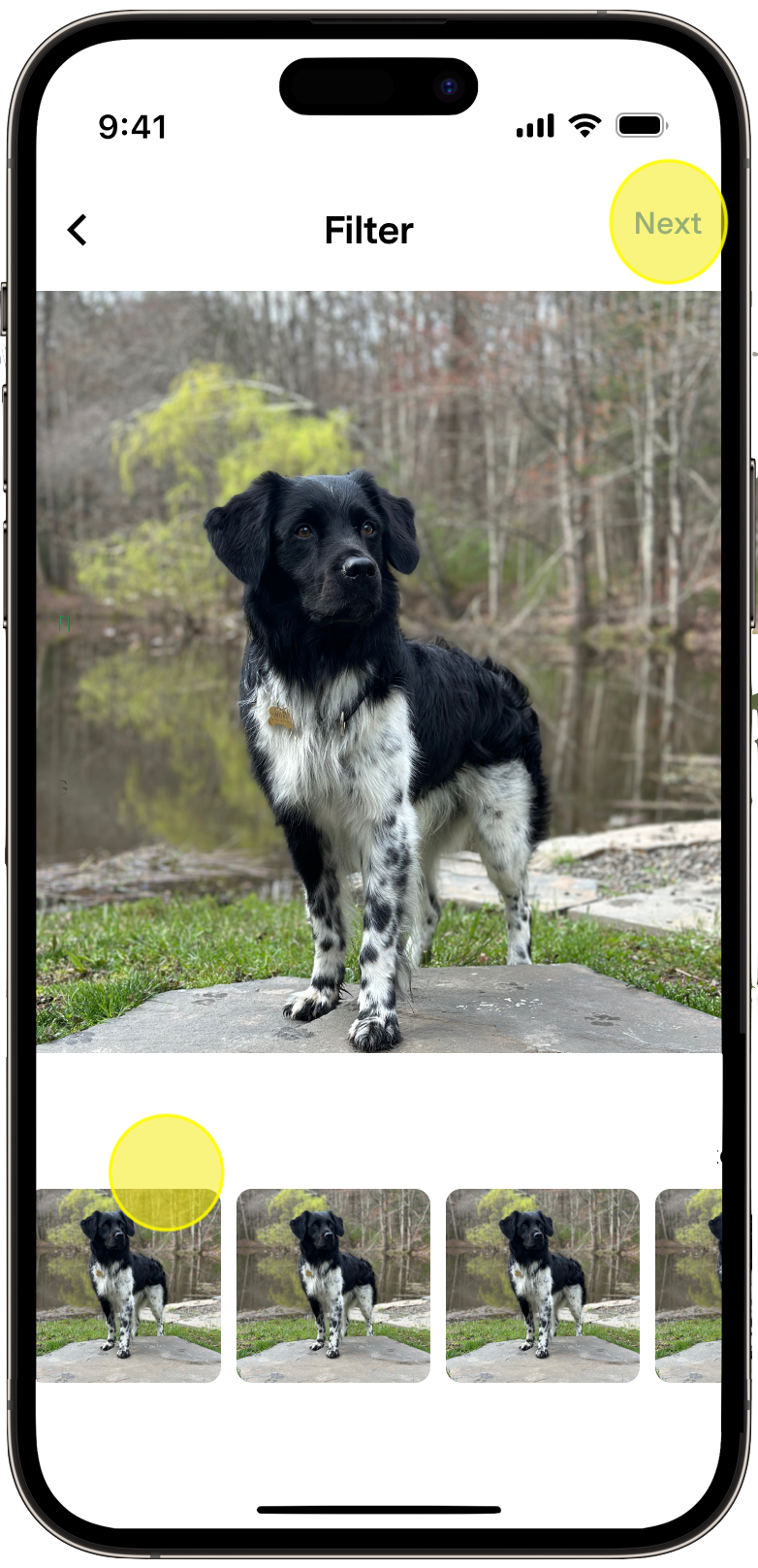IMG_0572-portrait.png