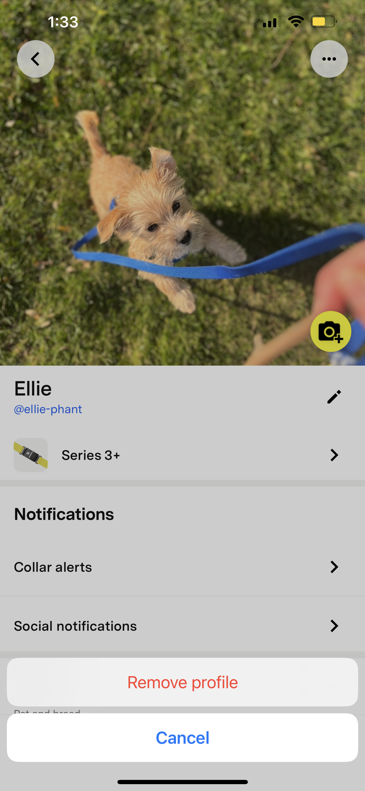 Fi App Edit Profile screen with three-dot menu open and Remove profile option highlighted.