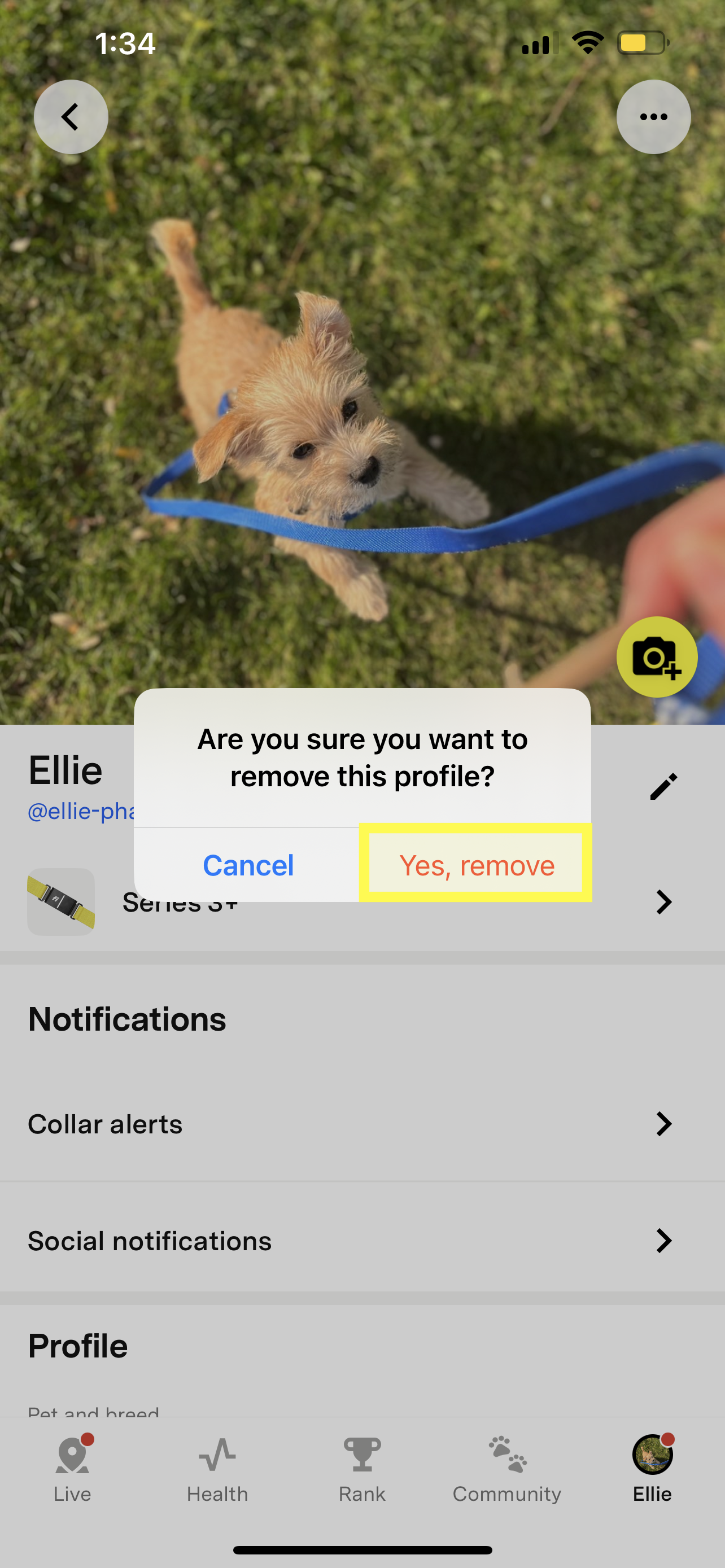 Écran de confirmation de l'application Fi demandant au membre de confirmer la suppression du profil de son animal.
