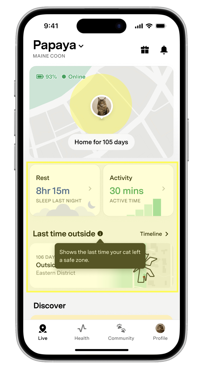 Profil chat avec activité, repos et Timeline mis en évidence