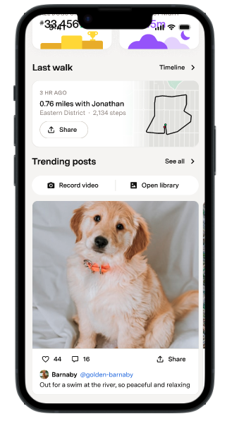 Trending posts section on the Live Tab